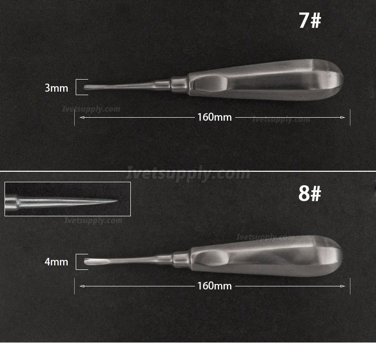 Veterinary Elevators Cat Dog Teeth Extraction Stainless Steel Minimally Invasive Elevators